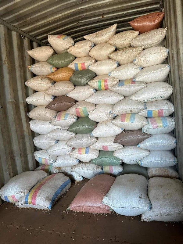 Soya beans from Zambia