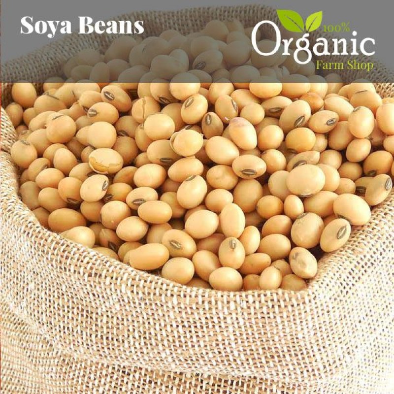 Soya Beans from Zambia