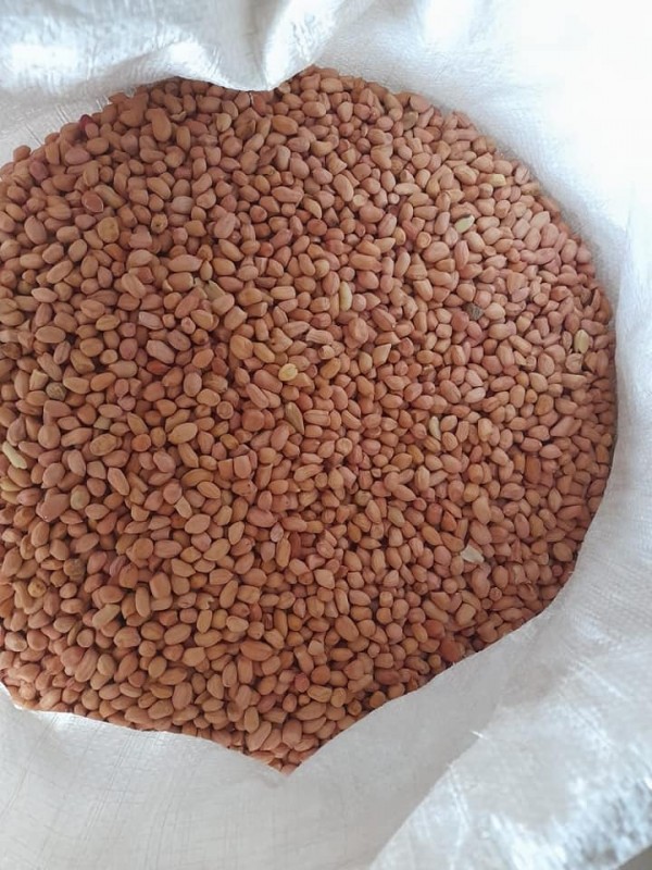 Groundnuts from Zambia