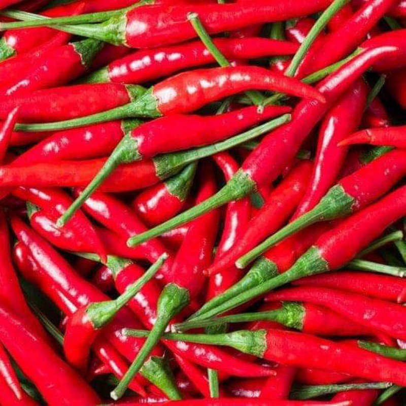 Chili pepper(red and yellow). from Zambia