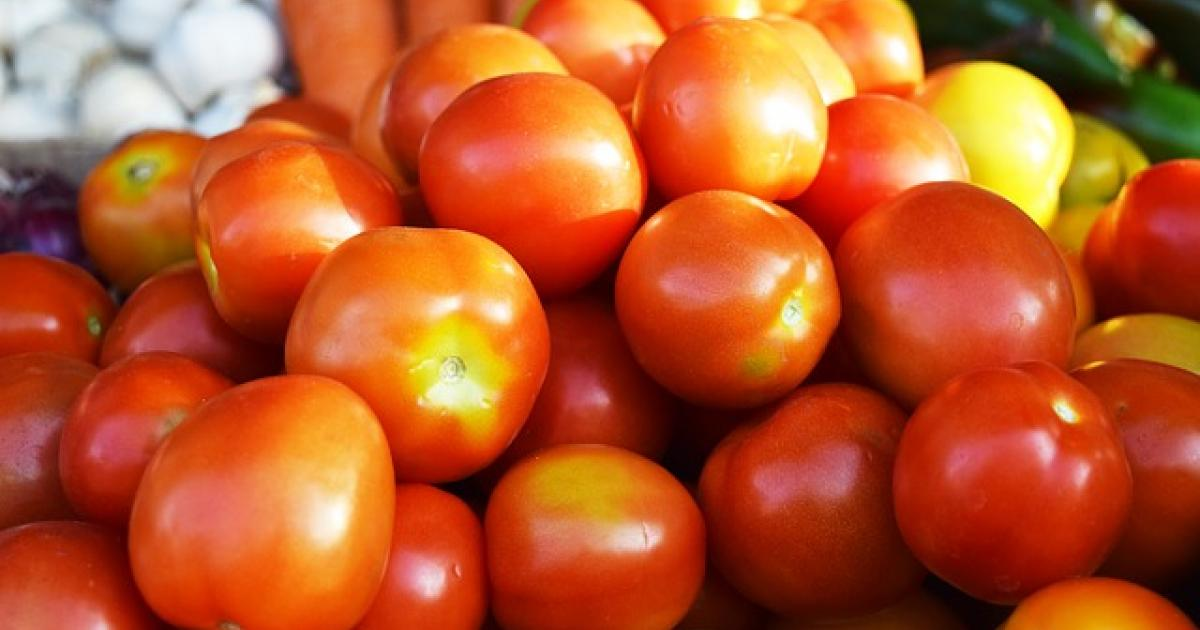 tomates from Zimbabué