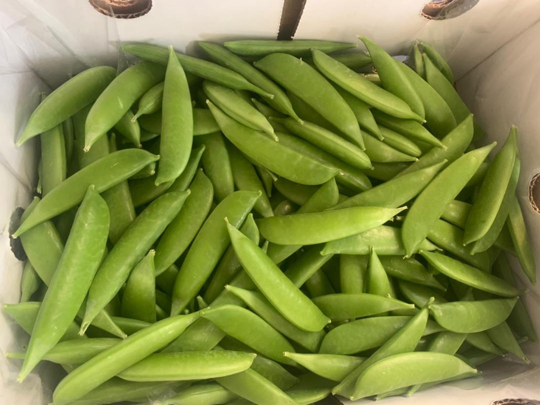 Sugar Snap Peas from Zimbabwe