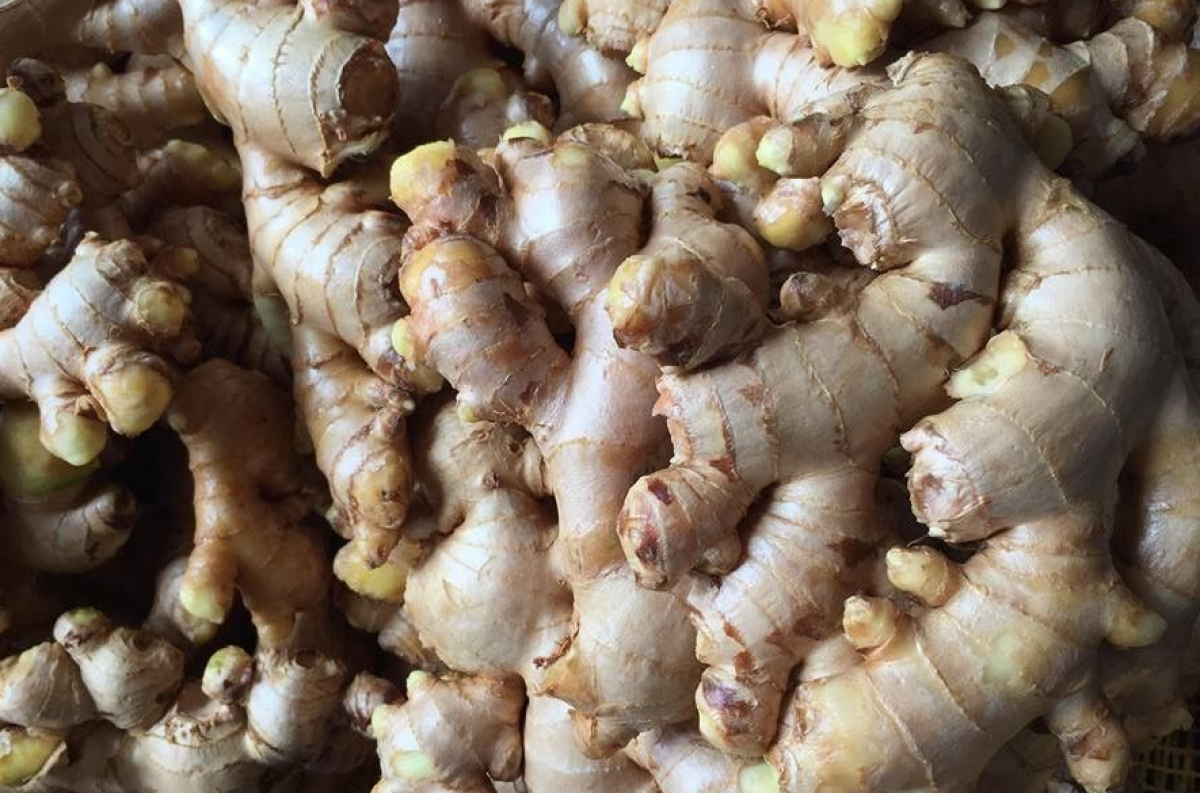 Fresh Ginger from Zimbabwe