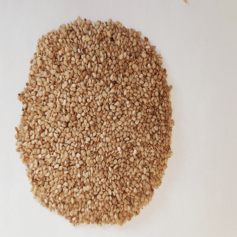 Sesame Seed from Zimbabwe