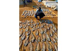 Pesce affumicato e essiccato from Sud Sudan