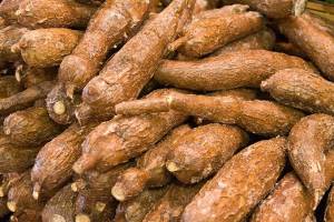 Fresh cassava grade A from Nigeria