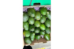 avocados from Mexico