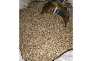 White pepper from Indonesia