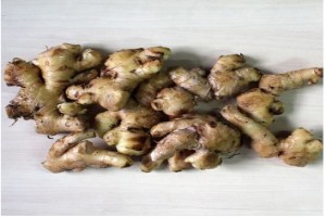 Orgânic Ginger from Angola