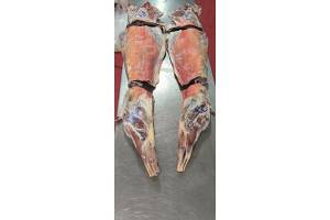 Goat Meat from Argentina