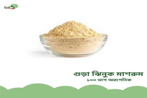 Powder Oyster Mushroom from Bangladesh