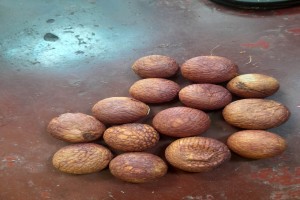 Areca Nut from Bangladesh