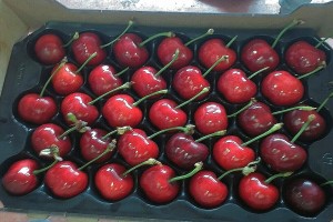 Ciliegie from Bulgaria