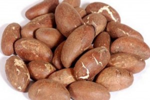 Bitter Kola from Cameroon