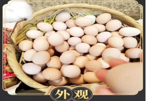 Eggs from China