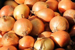 Egyptian yellow onions from Egypt