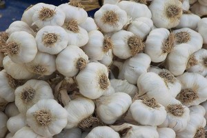 Normaler weißer Knoblauch from Ägypten