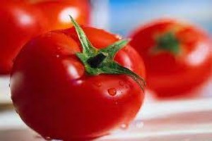 Tomatoes from Egypt