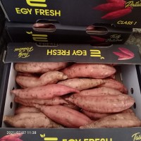 Sweet Potatoes (Orange Flesh) from Egypt