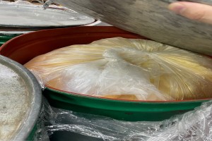Orange juice frozen from Egypt