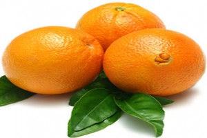 Egyptian navel orange from Egypt