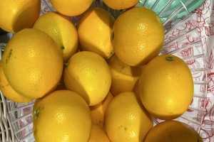 Navel oranges from Egypt