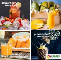 Juice Concentrate and Concentrates from Spain