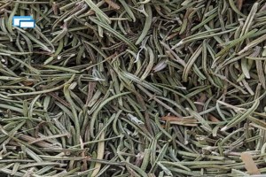 Rosmary from Ethiopia
