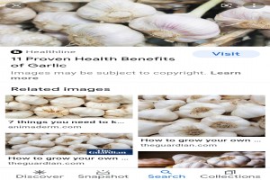 Garlic from Ethiopia
