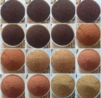 Amaranthus Grain from Ethiopia