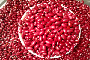 Red kidney beans from Ethiopia