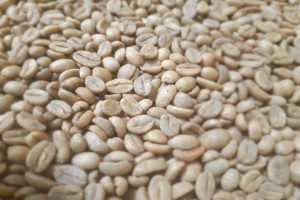 Café Orgânico from Etiópia