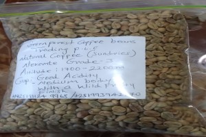 Green Forest Coffee Beans Trading  p.l.c from Ethiopia