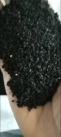 Black Cumin from Ethiopia