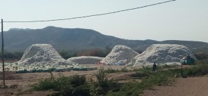 Lint cotton from Ethiopia