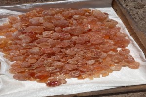 Arabic Gum Grade 1 from Ethiopia