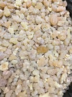 Ethiopian Frankincense risen from Ethiopia