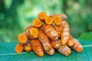 Certified Organic Turmeric Root from Fiji