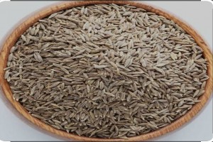 Cumin from United Kingdom (UK)