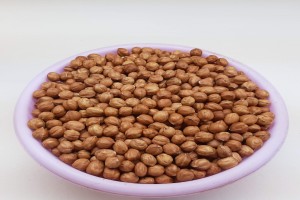 hazelnuts from Georgia
