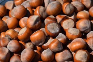 Hazelnut in shell from Georgia