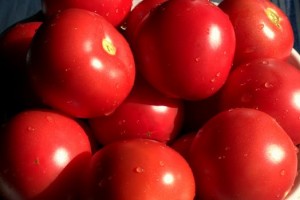 Tomatoes from Ghana
