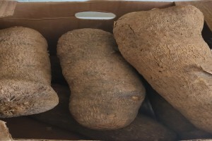 Yam from Ghana from Ghana