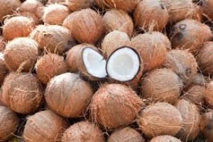 COCONUT from Ghana