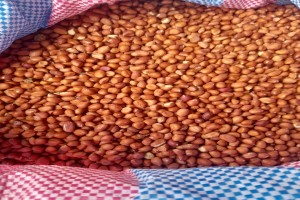 Arachidi dal Ghana from Ghana