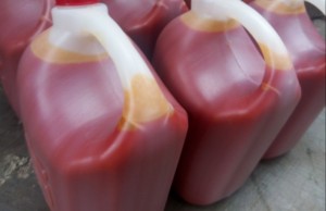 Yenmie Organic Exports from Ghana