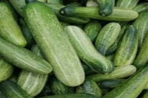 Cucumber from Ghana