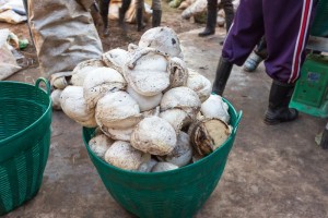 Natural rubber Cup lumps from Ghana