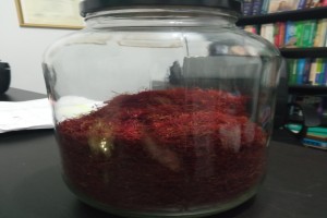 Saffron from Greece