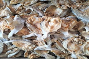 Dried salted fish Montok from Indonesia